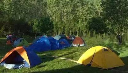 游戏专题 第47页